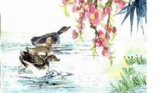 惠崇春江晚景描述的是什么季节 惠崇春江晚景描写了什么季节