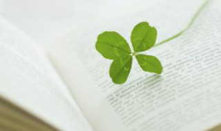 腊八粥课文中心是什么（腊八粥课文是什么结构）