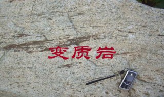 花岗岩形成的变质岩是什么 花岗岩变质形成什么岩?