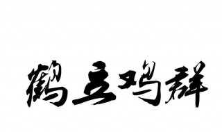 鹤立鸡群的主要人物是什么（鹤立鸡群人物是谁）