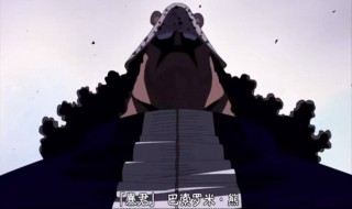 海贼王中熊是怎么死的?（海贼王中的熊怎么了）