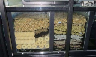 上过滤怎么放置滤材 上过滤怎么摆放滤材