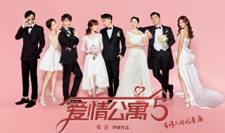 爱情公寓五dcad是什么意思（爱情公寓5BT）