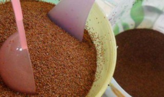 海藻面膜是清洁的还是补水的（海藻是补水面膜吗）