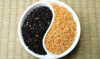 芝麻洗后能用吹风机吹干吗 芝麻洗后能用吹风机吹干吗图片