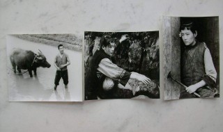 湘女萧萧结局 结局暗示了什么