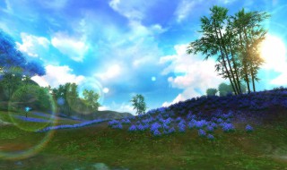 诛仙手游宠物怎么抓（诛仙手游宠物抓周）