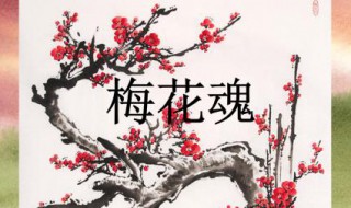 梅花魂还有什么魂什么魂什么魂 梅花魂还可以说什么魂什么魂什么魂什么魂