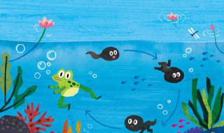 蝌蚪是怎么变成青蛙的（蝌蚪是怎么变成青蛙的过程简笔画）