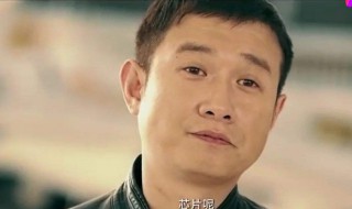 文章坐飞机安检过不去是什么电视（文章过安检没能登上飞机是什么电影）