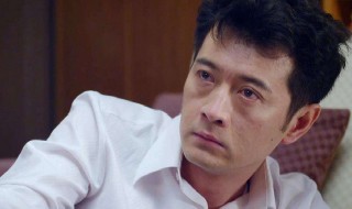 王同辉主演的电视剧有哪些