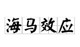 海马效应究竟是什么意思 海马效应究竟是什么意思啊