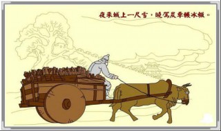 卖炭翁围绕炭可以分为哪几个层次（卖炭翁中的炭是什么炭）