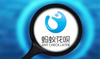 蚂蚁花呗能在实体店一次付款一千不（花呗给实体店付款6000实体店能收到多少钱）