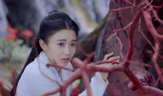 橘诺的孩子是不是夫子的(橘诺怀的孩子是萌少吗)