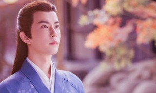 挑断景辞脚筋的是什么人 谁挑断景辞的脚筋