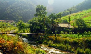 墨绿色长款开衫搭配 墨绿色长款开衫搭配什么裤子