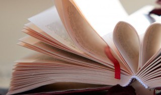 《池子与河流》是用什么形式呈现的（《池子与河流》是用什么形式呈现的诗句）