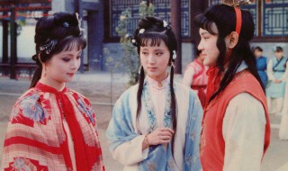 宝玉的人物形象（谈谈贾宝玉的人物形象）