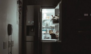 风冷无霜大冰箱怎么调才能把肉冰硬 风冷无霜冰箱肉会结冰的吗?