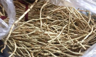 鱼腥草泡水喝的功效是什么 鱼腥草泡水有什么功效