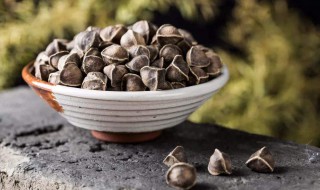 辣木籽的功效是什么（辣木籽的功效是什么小度）