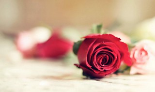 白色情人节微信祝福语（白色情人节祝福短句）