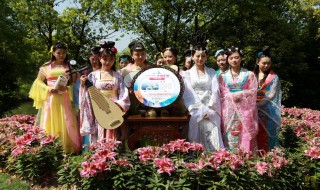 花朝节习俗 关于花朝节