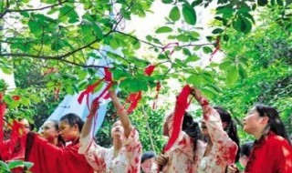 花朝节传说 花朝节的传说