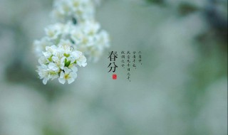 春分过后气温一般多少度（春分过后气温一般多少度啊）