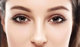 眼球是如何运动的（眼球是如何运动的视频）