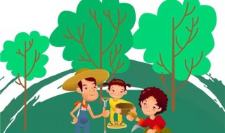 环境影响文明互相流通的依据是什么