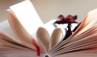 求男主是外科医生的小说 男主角是外科医生的小说