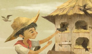 草房子红门一主要内容 草房子红门一主要内容30字