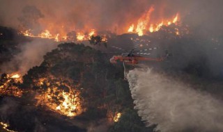 2019澳洲大火起因（2019年澳洲大火）