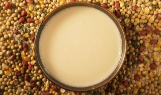 儿童五谷豆浆怎么搭配(儿童五谷豆浆怎么搭配好吃)