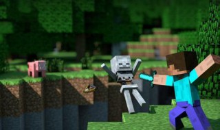 mc清理掉落物指令（mc掉落物清除指令）