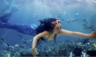 我的世界如何找到美人鱼（我的世界,人鱼美人）