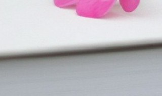 氢氧化铁是沉淀吗?（氢氧化亚铁是沉淀吗）