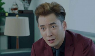 叶龙恩是不是幕后大boss（叶龙恩是什么身份）