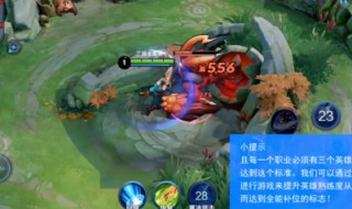 王者荣耀标志怎么获得（王者荣耀标志怎么获得比如职业）