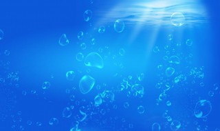 什么动物是具有一对外壳的海生动物（什么动物是具有一对外壳的海生动物a）