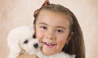 宠物美容师需要做什么（宠物美容师需要学什么）