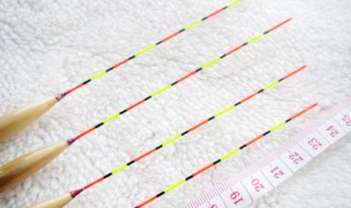 钓白条选什么漂 钓白条用漂