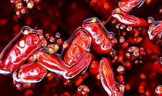 如何自己烧火锅 自己怎么烧火锅