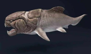 手游方舟邓氏鱼在哪 方舟手游邓氏鱼在哪里