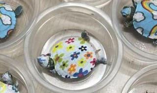 彩绘乌龟怎么去掉颜色（彩绘乌龟能去掉颜色吗）