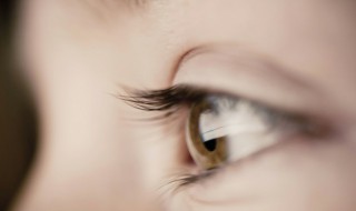 下睫毛倒长应该怎么办 眼睛长倒睫毛应该怎么办