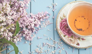 婆婆丁根泡水喝的禁忌（喝婆婆丁根水的好处）