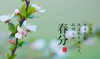 春分竖鸡蛋的科学原理是什么（春分竖鸡蛋的方法）